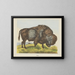 Bison - Joseph Scholz — ingelijst kunstwerk aan de muur