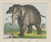 Olifant - Joseph Scholz — weergave van het kunstwerk