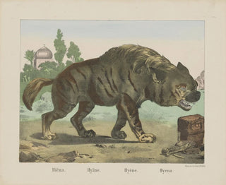 Joseph Scholz - Hyena.webp