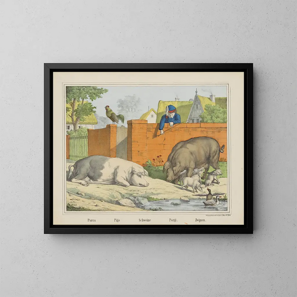 Varkens - Joseph Scholz — ingelijst kunstwerk aan de muur