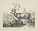 Eland - Joseph Scholz — weergave van het kunstwerk