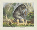 Chimpanse - Joseph Scholz — weergave van het kunstwerk