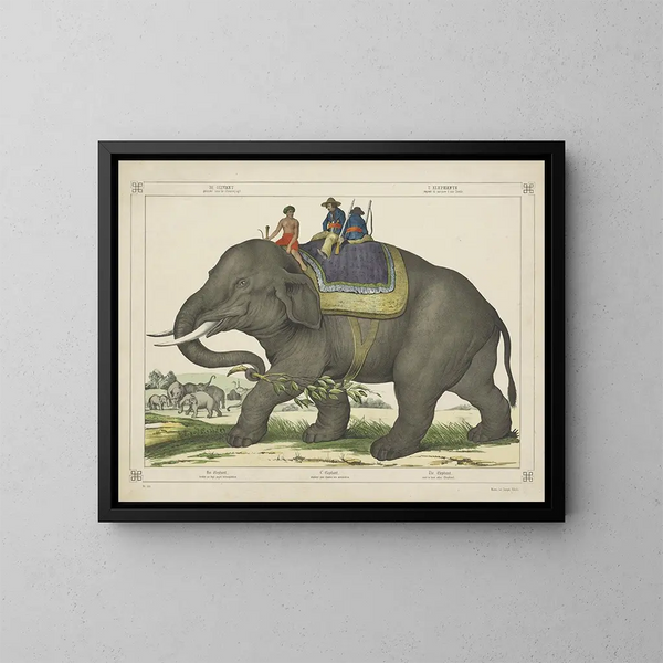 L'éléphant jachtte op andere olifanten - Joseph Scholz — ingelijst kunstwerk aan de muur