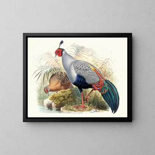 Euplocamus prlatus - Joseph Smit — ingelijst kunstwerk aan de muur