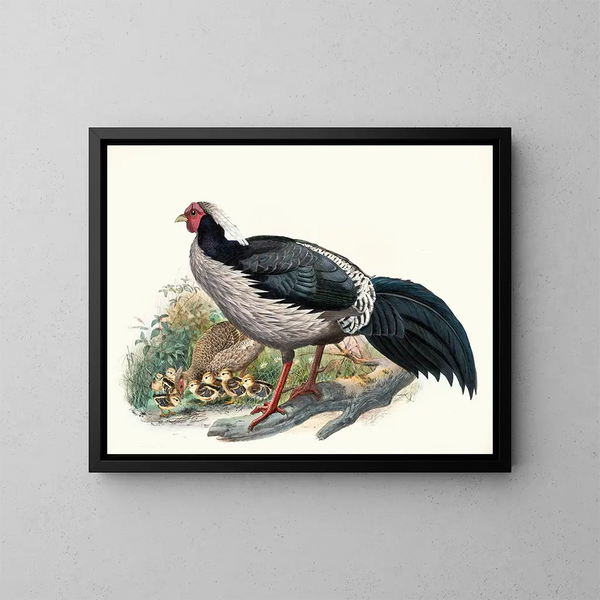 Euplocomus albocristatus - Joseph Smit — ingelijst kunstwerk aan de muur