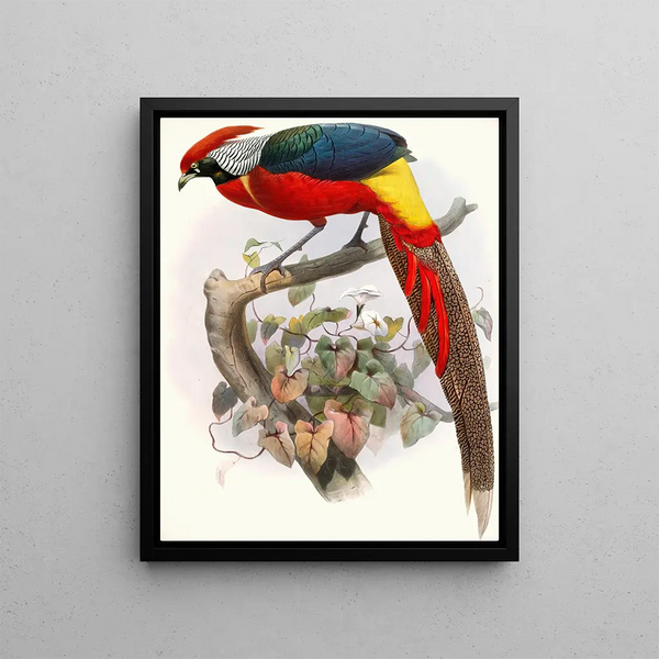 Joseph Smit - Hybrid Pheasant.webp