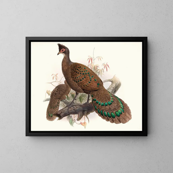 Poule à double ergots - Joseph Smit — ingelijst kunstwerk aan de muur