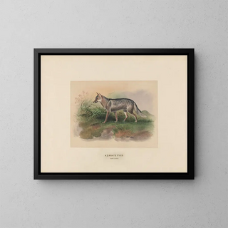 Vos van Azara - Joseph Wolf — ingelijst kunstwerk aan de muur