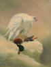 Gyrfalcon - Joseph Wolf — artwork view