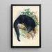 Le Binturong - Joseph Wolf — ingelijst kunstwerk aan de muur