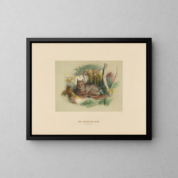 De Egyptische kat - Joseph Wolf — ingelijst kunstwerk aan de muur