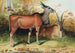 L'Éland - Joseph Wolf — artwork view