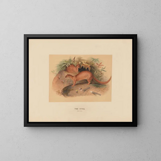 Joseph Wolf - The Eyra.webp