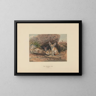 De fennec - Joseph Wolf — ingelijst kunstwerk aan de muur