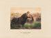 L'Hippopotame - Joseph Wolf — weergave van het kunstwerk