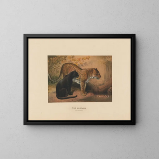Joseph Wolf - The Leopard.webp