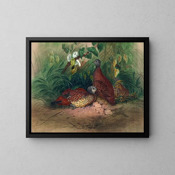 De fazant geschilderd - Joseph Wolf — ingelijst kunstwerk aan de muur