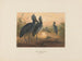 Le bec-en-sabot - Joseph Wolf — weergave van het kunstwerk