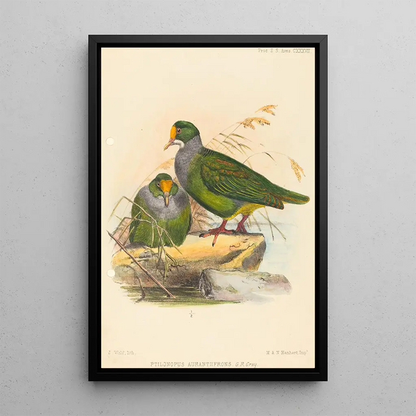 Joseph Wolf - Two Birds.webp