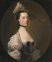 Portrait of a Lady - Joseph Wright of Derby — artwork view