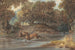 Landschap met herten in North Carolina - Joshua Shaw — weergave van het kunstwerk