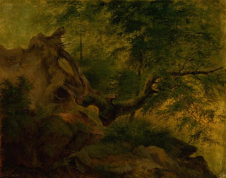 Jozef Boetech Klemens - Uprooted Tree Windthrow.webp