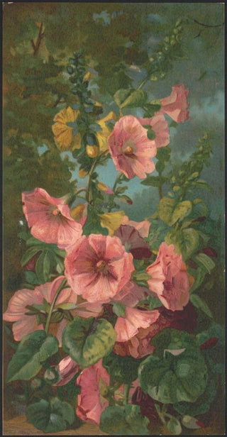 Julia Mcentee Dillon - Hollyhocks.webp