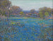 Een veld met bluebonnets onder het middagzonlicht - Julian Onderdonk — weergave van het kunstwerk