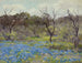 Vroege lente, Bluebonnets en Mesquite - Julian Onderdonk — weergave van het kunstwerk