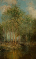 La clairière boisée du Maine - Julian Onderdonk — weergave van het kunstwerk