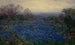Onbekend, veld met Bluebonnets - Julian Onderdonk — weergave van het kunstwerk