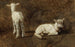 Studie van twee lammetjes - Juliette Peyrol-Bonheur — weergave van het kunstwerk