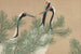 Genten (Tsuru) - Kamisaka Sekka — weergave van het kunstwerk