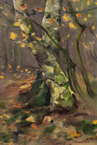 Karl Hagemeister - Waldinneres Birkenstmme im Herbststurm.webp