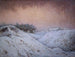 Sneeuwval - Karl Nordström — weergave van het kunstwerk