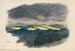 Studie van de natuur XLII - Karl Wiener — weergave van het kunstwerk
