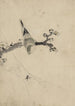 a bird perched on a flowering tree branch observing a spider on a web - Katsushika Hokusai — artwork view