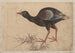 Sketchbook by and his disciples Pl33 - Katsushika Hokusai — artwork view