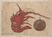 Sketchbook by and his disciples Pl49 - Katsushika Hokusai — artwork view