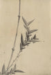 Pousses de bambou - Katsushika Hokusai — artwork view