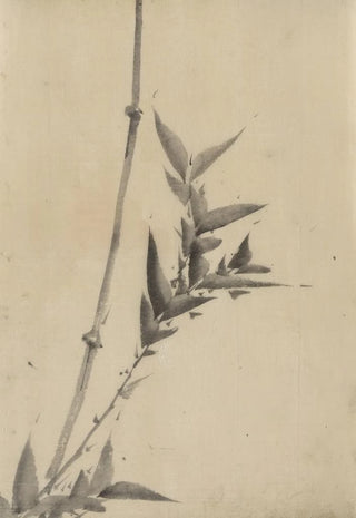 Katsushika Hokusai - Bamboo shoots.webp