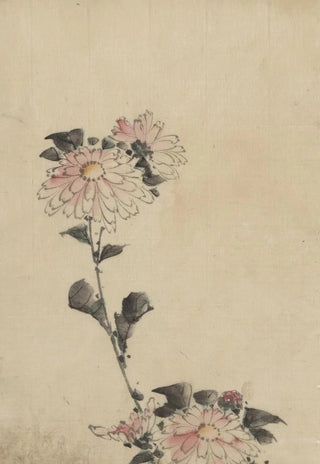 Katsushika Hokusai - Pink flower blossoms on low stalk and two on a tall stalk.webp