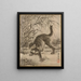 a cat catching a frog - Kawanabe Kyōsai — framed artwork on a wall