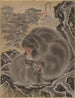 Singes - Kawanabe Kyōsai — weergave van het kunstwerk