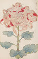 Keika hyakugiku Pl13 - Keika Hasegawa — artwork view