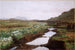 Study of a peat bog on Jæren - Kitty Kielland — artwork view