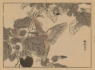 Kno Bairei - Bairei gafu Pl38.webp