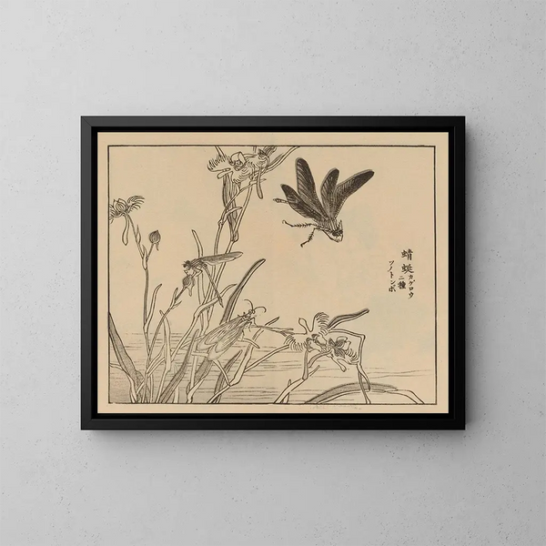 Bairei gafu Pl. 60 - Kono Bairei — ingelijst kunstwerk aan de muur