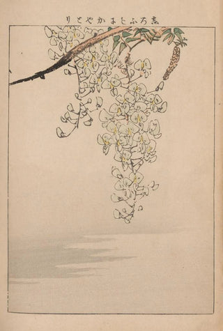 Kotei Fukui - Kacho gafu Pl11.webp