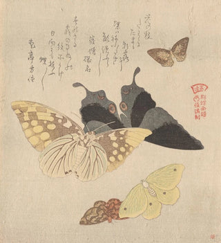 Le Manuel de peinture de la nuée de papillons Guncho Gafu 4 - Kubo Shunman